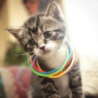 /album/fenykepgaleria/images-3-jpg/